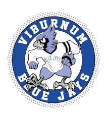 Iron County C-4 Schools Logo
